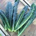 Sausage and Fennel Ragu with Kale